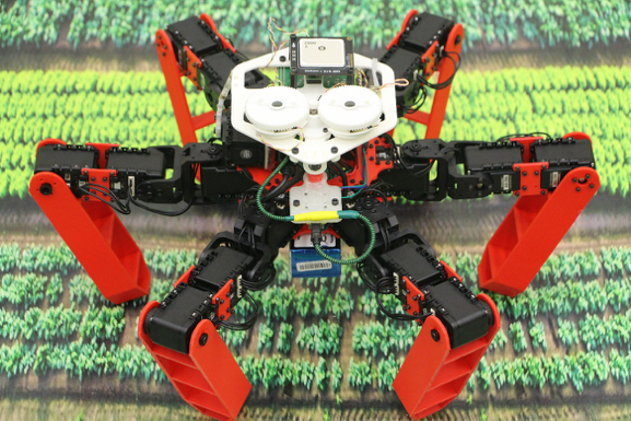 AntBot is able to go home like desert ants | TheScienceBreaker ...
